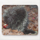 Search for red apple mousepads Leaves