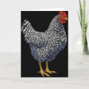 Search for backyard chickens cards Eggs