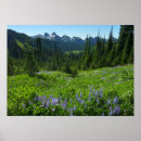 Search for cascade range posters Mountain