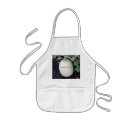 Search for squash aprons Fall