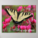 Search for easterners posters Swallowtail