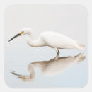 Search for birder stickers Wildlife