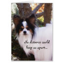 Search for papillon Pets