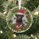 Search for retriever christmas tree decorations Hunting dog