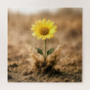 Search for desert puzzles Nature