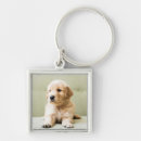 Search for couch key rings Puppy