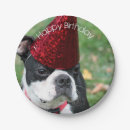 Search for boston terrier plates Birthday