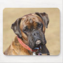 Search for bob and pam langrish Brindle