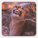 Search for smiling animal stickers Lion