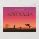 Search for kangaroos postcards Souvenir