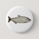 Search for rio badges South america