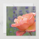 Search for 75th photography Rose