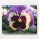 Search for garden violets mousepads Pansy