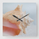 Search for florida seashells art Waves