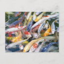 Search for closely postcards Pond