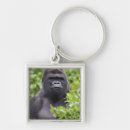 Search for silverback gorilla key rings Animal