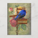 Search for brochures postcards Blue