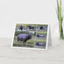 Search for buffalo birthday cards Humour