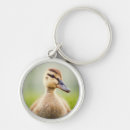 Search for mallard key rings Wildlife