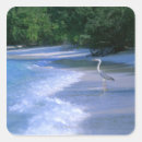 Search for 2 sided stickers Animal