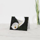 Search for calla lilly cards Lillies