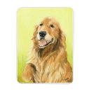 Search for golden retriever magnets Sporting