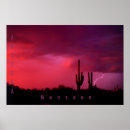 Search for monsoons posters Arizona