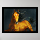 Search for buckskin horse posters Stallion