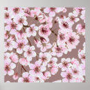 Search for watercolor cherry blossom art Flower