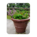 Search for horticulture magnets Gardening