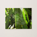 Search for spider web puzzles Cobweb