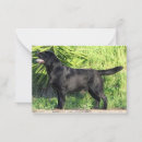 Search for black labrador note cards Puppy