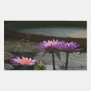Search for pads stickers Waterlilies