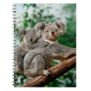 Search for koala notebooks Marsupial