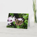 Search for x wing thank you cards Nature