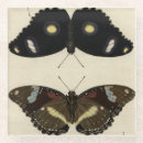Search for insect glass coasters Butterflies
