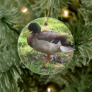 Search for duck hunting christmas tree decorations Mallard