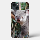 Search for billed cases Australia