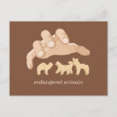 Search for endangered postcards Humour