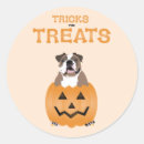 Search for trick treat stickers Orange