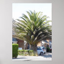 Search for exotic plants posters Beauty