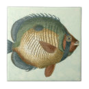 Search for fins home living Fish