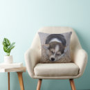 Search for corgi cushions Pet