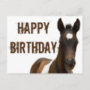 Search for foal birthday cards Photography