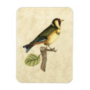 Search for avian magnets Domestic