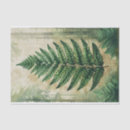 Search for fern tissue paper Vintage