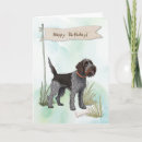 Search for griffon dog breed Wirehaired pointing griffon