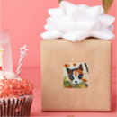 Search for calico stickers Cute