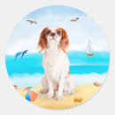 Search for king dad stickers Animal