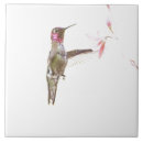 Search for single tiles Bird